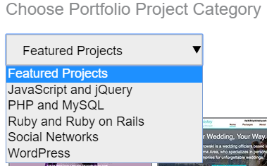 Choose portfolio category drop-down